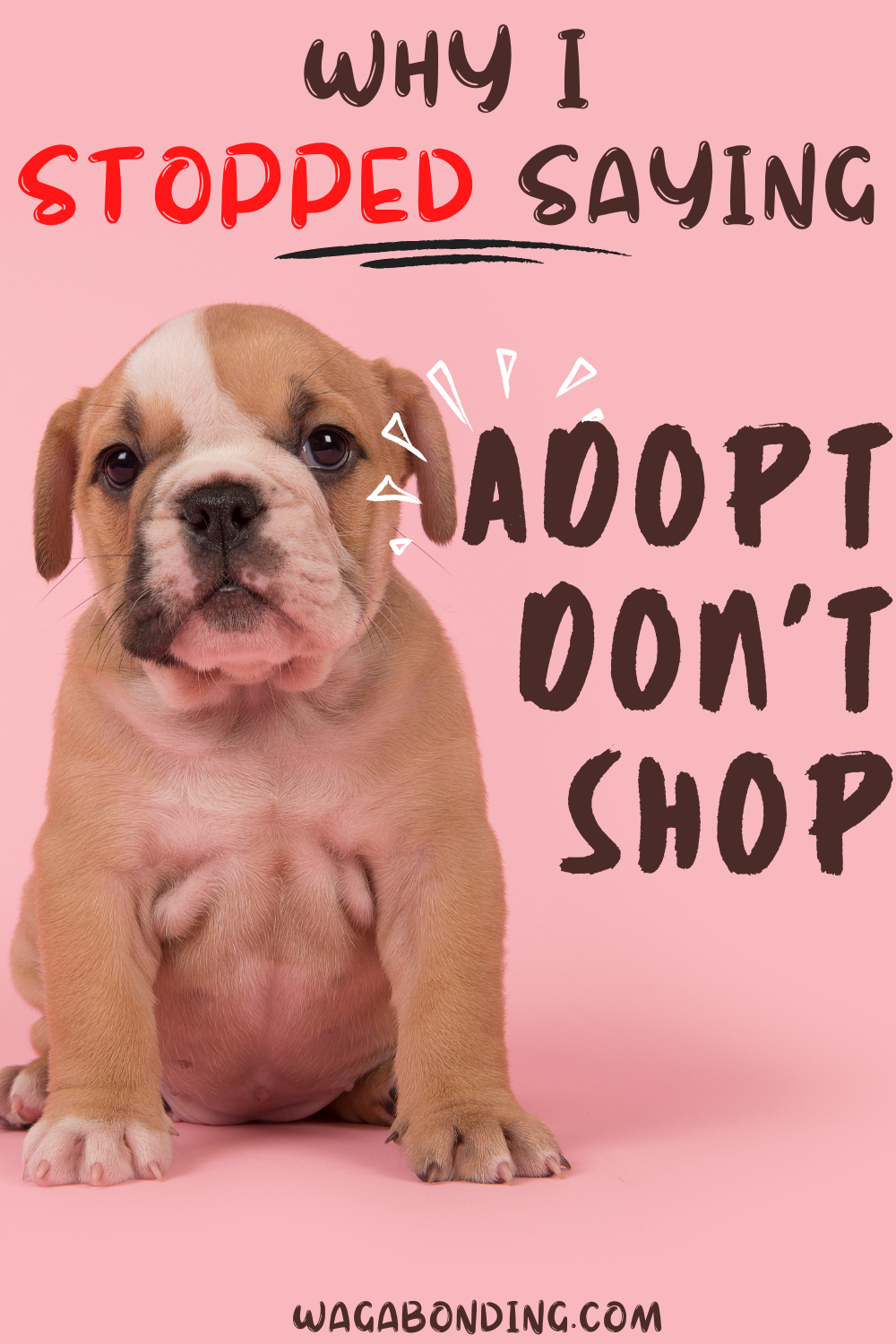 This Is Why I've Stopped Saying "Adopt Don't Shop"