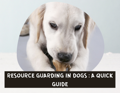 Resource Guarding Behavior In Dogs - A Quick Guide